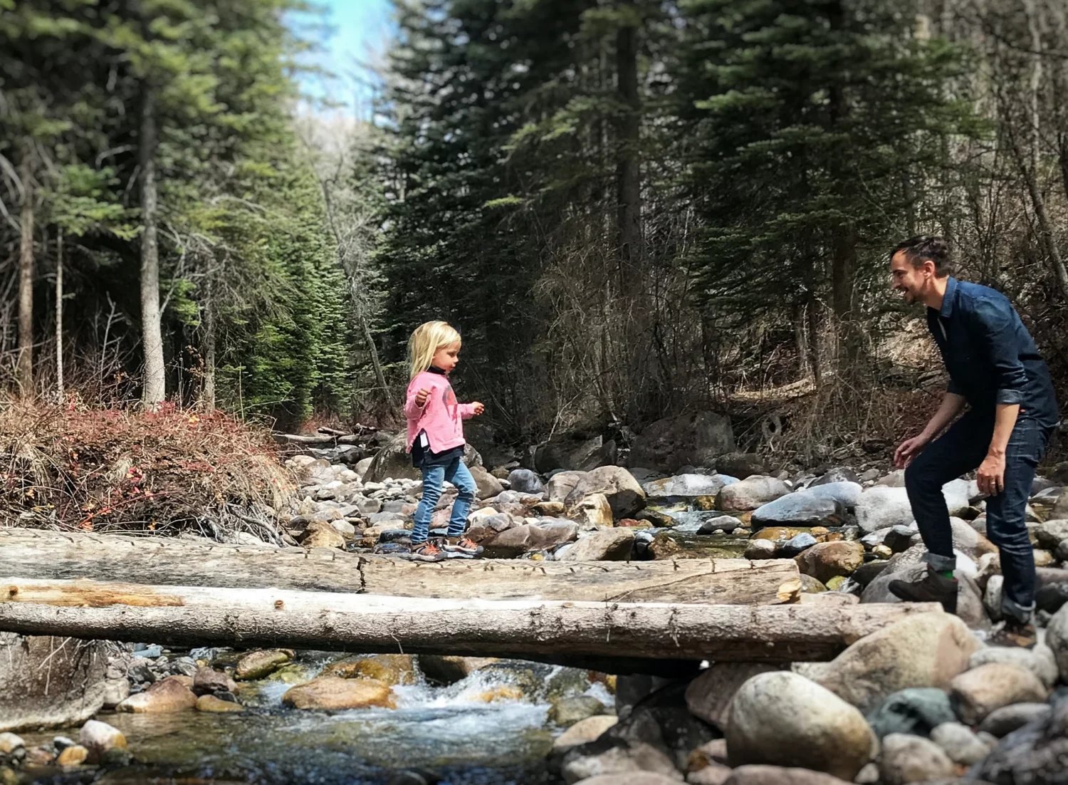 wewnętrzna siła dziecka/odporność psychiczna dziecka