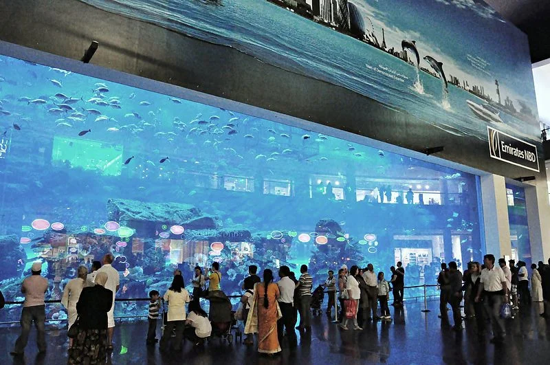 Dubai Mall to największe centrum handlowe na świecie z największym akwarium