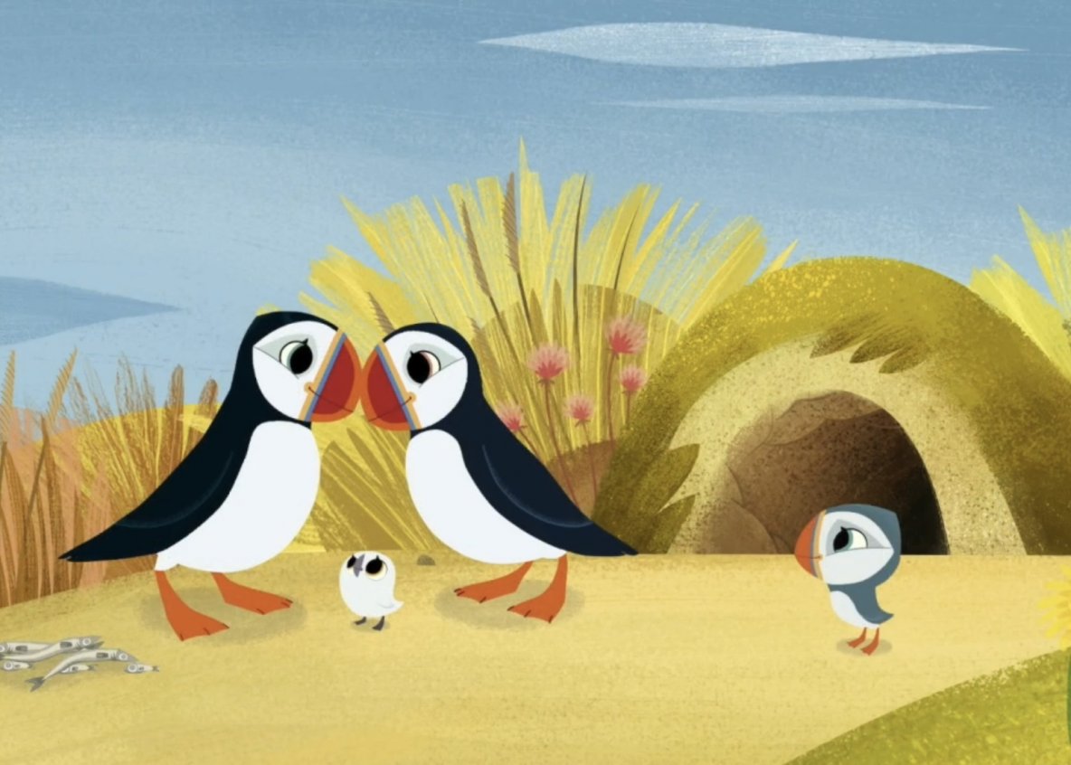 Wyspa Puffin Rock poza rozrywką dostarcza fantastycznej wiedzy o morskiej faunie i florze.