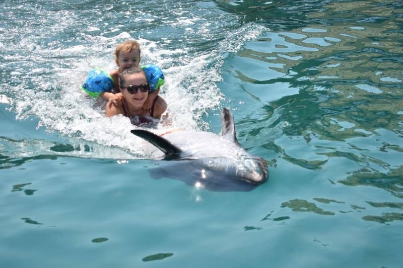 Agnieszka wprowadza synka w tajniki pływania z delfinami