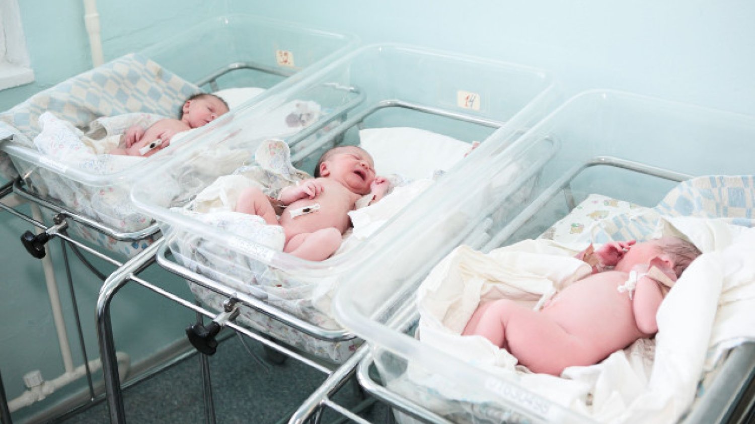 Prawo autorskie: krasphoto / 123RF Zdjęcie Seryjne