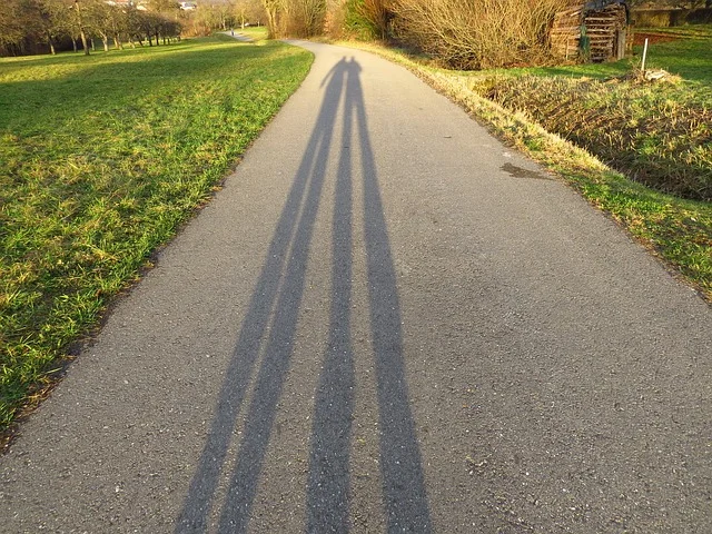 Fot. Pixabay/[url=http://pixabay.com/en/away-shadow-personal-human-80260/]Hans [/url] / [url=http://bit.ly/CC0-PD]CC0 Public Domain[/url]