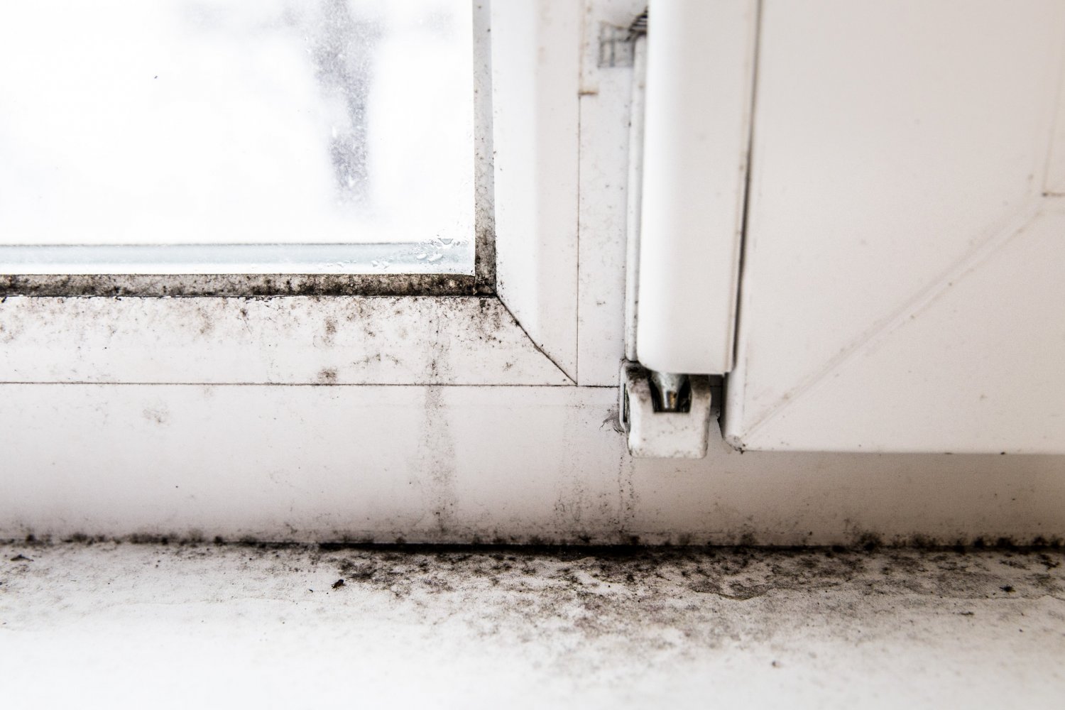 pleśń na oknie, skąd grzyb w domu, jak zaoszczędzić na ogrzewaniu, trik ze śrubką w oknie, infekcje u dzieci, długotrwały katar