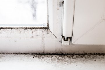 pleśń na oknie, skąd grzyb w domu, jak zaoszczędzić na ogrzewaniu, trik ze śrubką w oknie, infekcje u dzieci, długotrwały katar