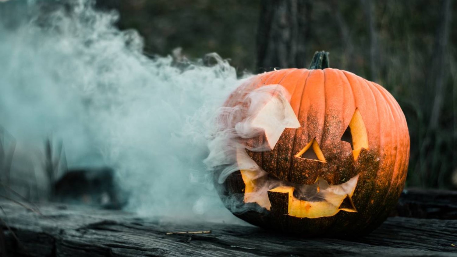 Halloween, wycinanie dyni, Jack, Jack-o’-lantern, cukierek albo psiukus, trick or treat, historia halloween, samhain, celtowie