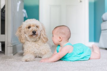 "Akademia Mądrego Dziecka", kolekcja wydawanych przez HarperKids książeczek edukacyjnych dla dzieci i rodziców do wspólnego oglądania i czytania, została poszerzona o serię pod tytułem "Niesamowity spacer" z ruchomymi elementami i srebrnymi tłoczeniami