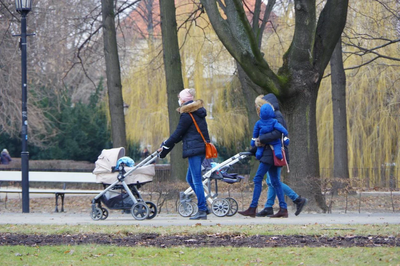 12 tysięcy na dziecko, Rodzinny Kapitał Opiekuńczy, świadczenia rodzinne