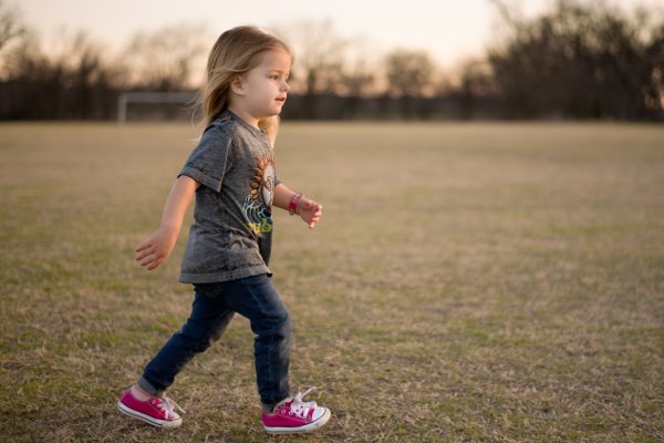 Fot. Flickr / [url=https://www.flickr.com/photos/donnieray/23988859534/]Donnie Ray Jones[/url] / [url=https://creativecommons.org/licenses/by/2.0/]CC[/url]