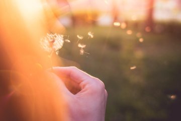 Fot. Picjumbo /[url=https://picjumbo.com/girl-blowing-blowballdandelion/]Viktor Hanáček[/url] / [url=http://bit.ly/CC0-PD]CC0 Public Domain[/url]