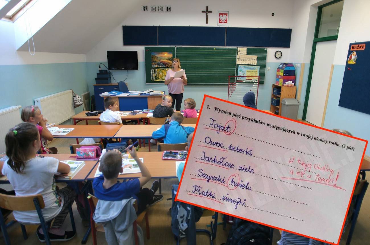 Kartkówka szkolna: rośliny z "Wiedźmina"