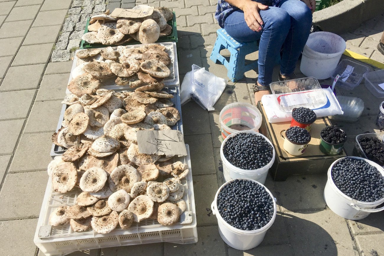 jagody, grzyby, praca, dzieci, bieda, alkoholizm