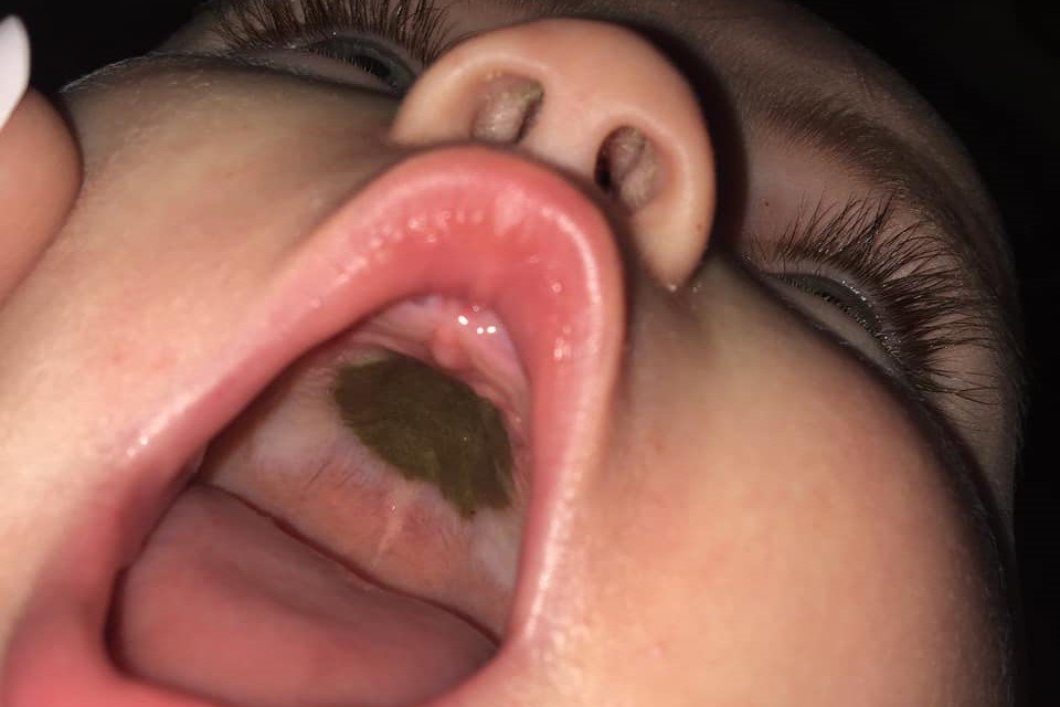 Co się stanie, gdy pozwolisz dziecku... żuć tekturę