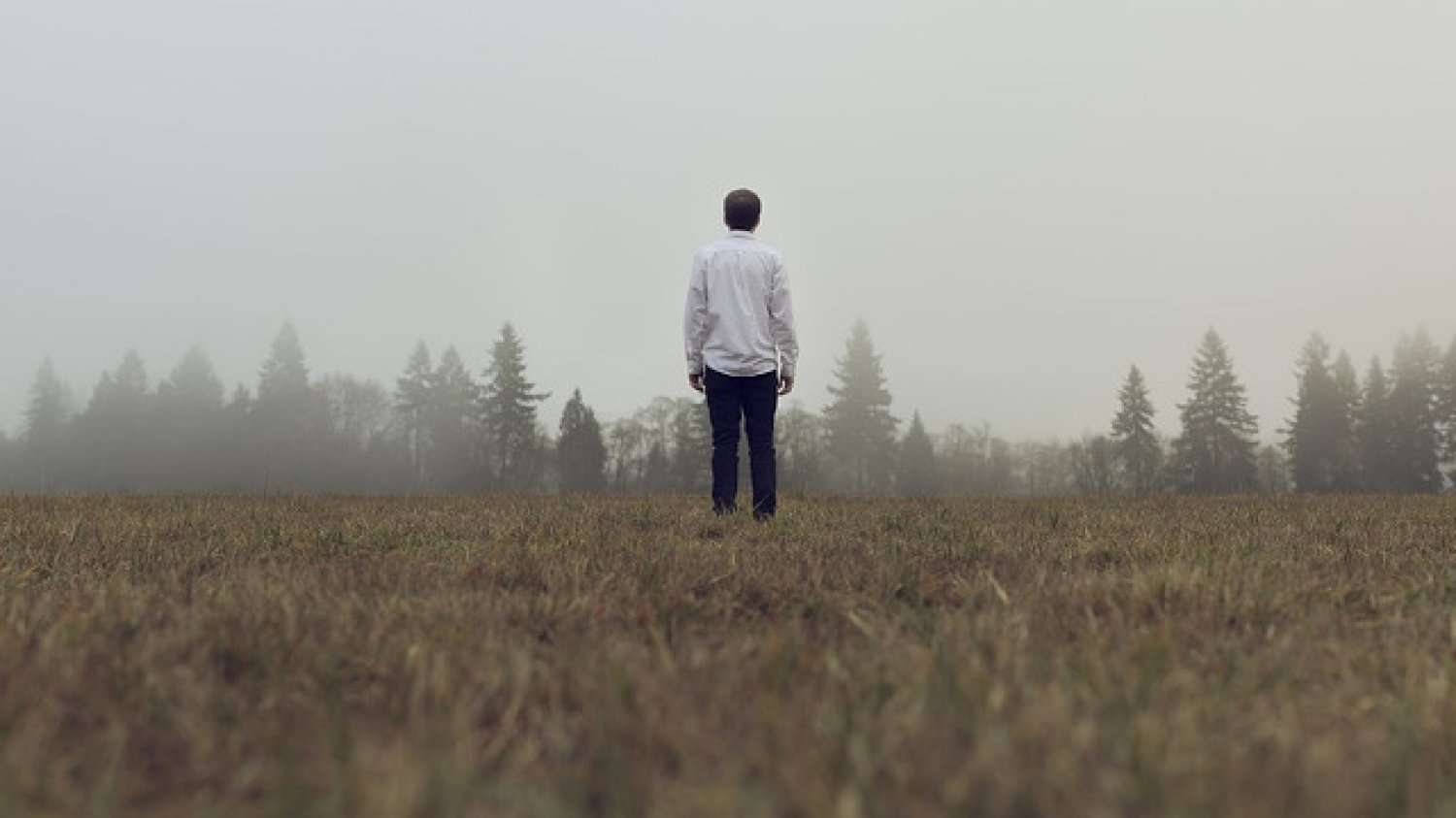 Fot. Pixabay / [url=http://pixabay.com/en/field-grass-guy-man-people-trees-691616/]Unsplash[/url] / [url=http://pixabay.com/en/service/terms/#download_terms]CC0 Public Domain[/url]
