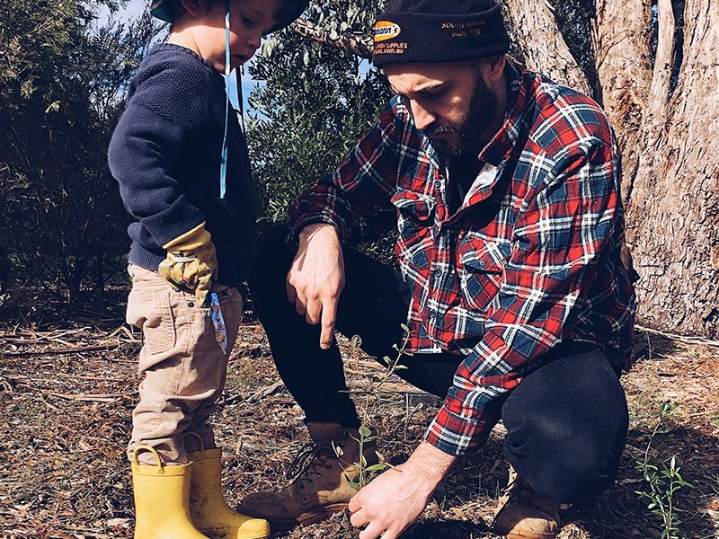 Jak posadzić drzewo, nie wychodząc z domu?