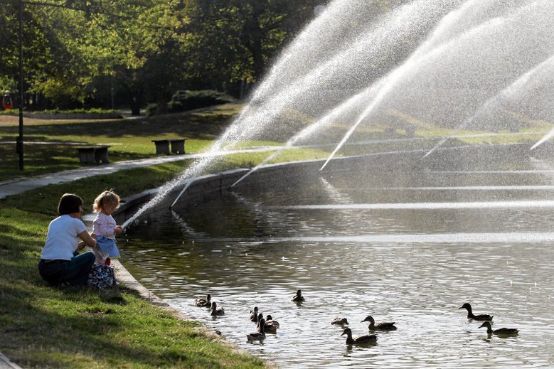 Czy dzieci powinny się kąpać w miejskich jeziorkach?