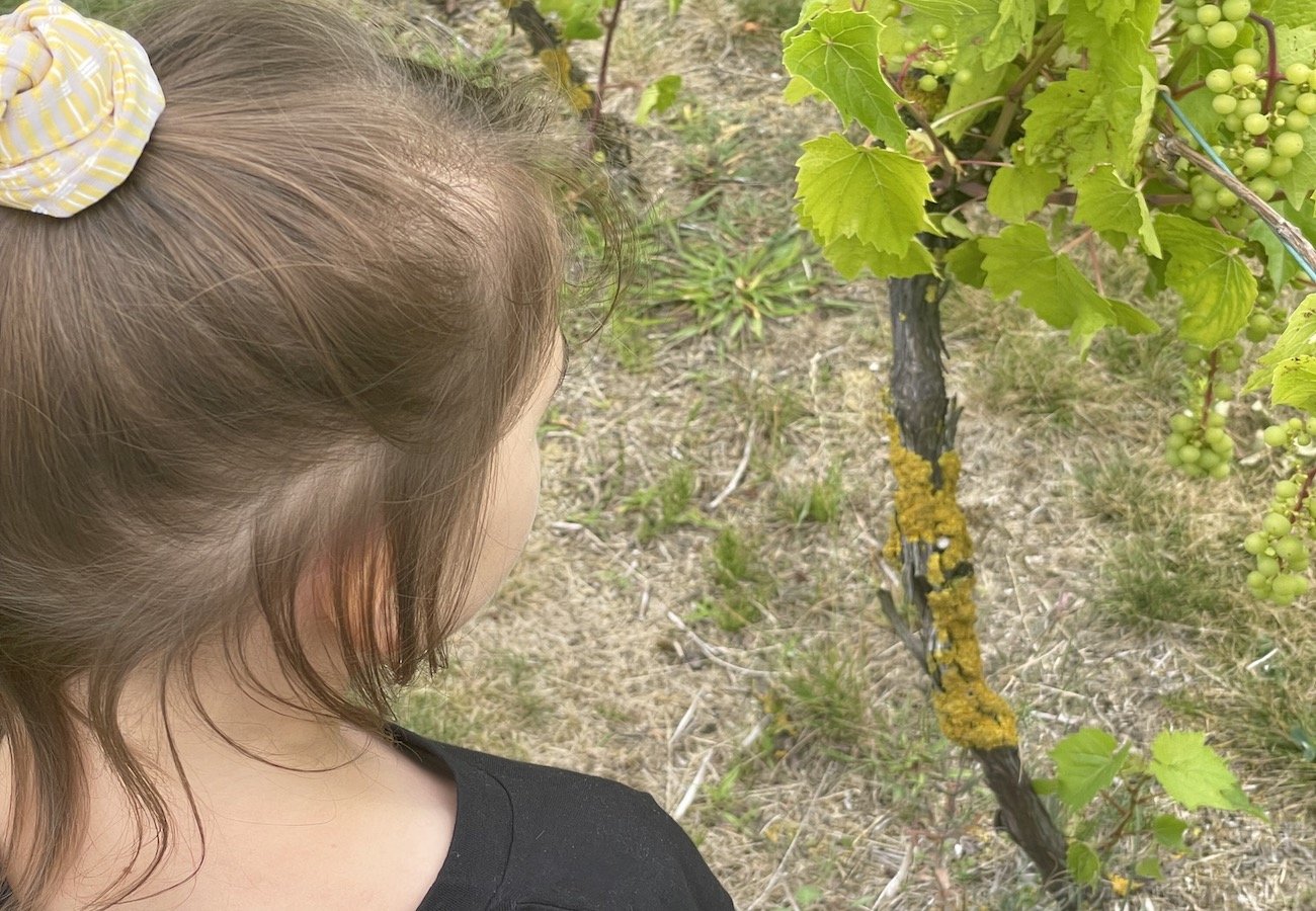 Jak przeprowadzić dziecko przez złamaną obietnicę?