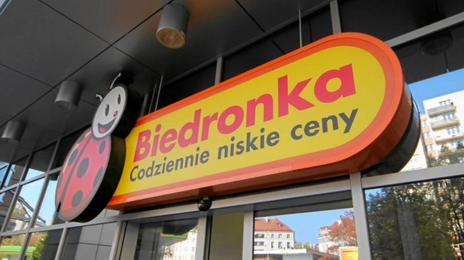 Klapki Kubota kupicie w Biedronce już za 19,99 zł!