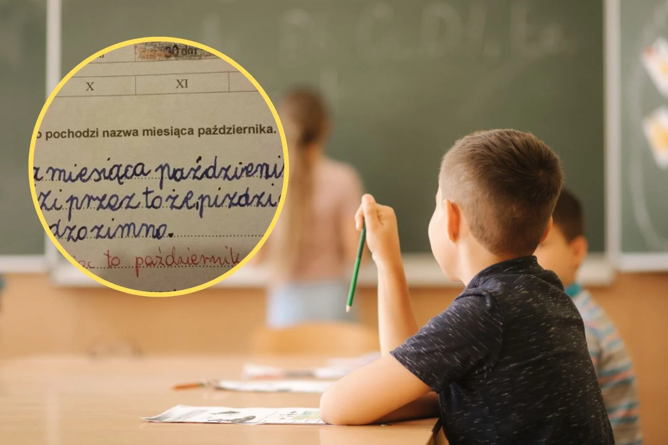 zadanie z polskiego rozbawiło internautów