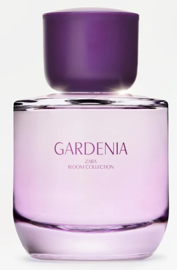 Zara Gardenia