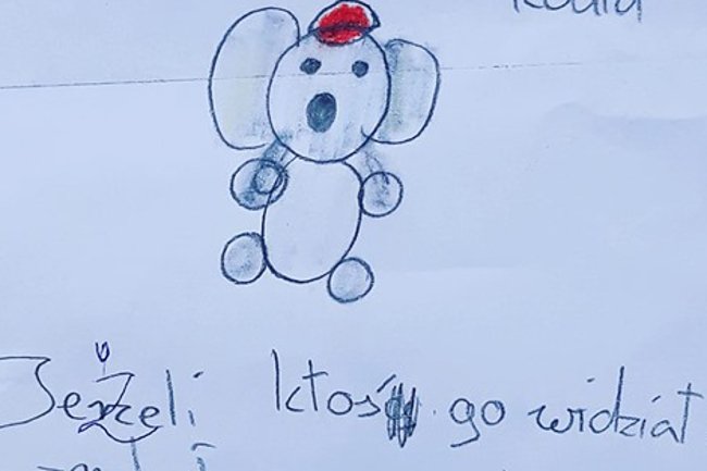 Ktokolwiek widział, ktokolwiek wie!