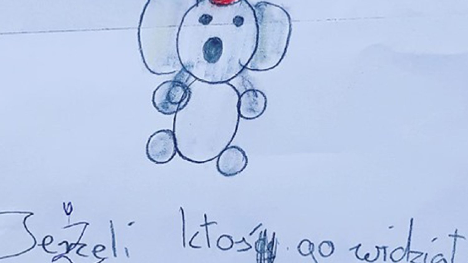 Ktokolwiek widział, ktokolwiek wie!
