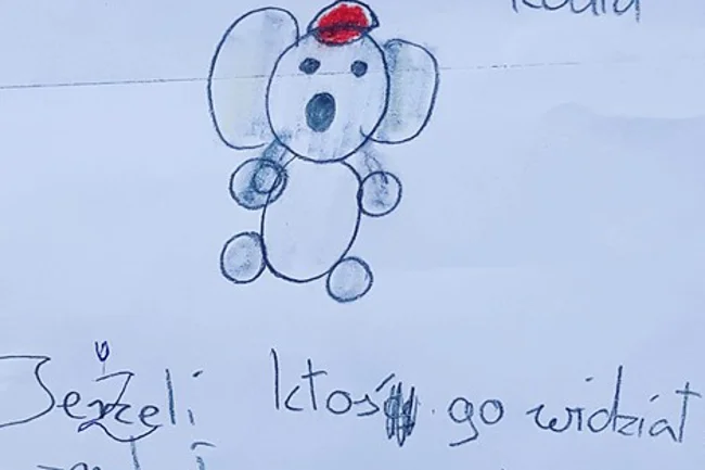 Ktokolwiek widział, ktokolwiek wie!