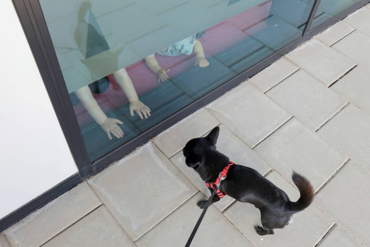 "Zbieramy żniwo za innych rodziców". Oto, dlaczego dzieci są traktowane gorzej niż psy