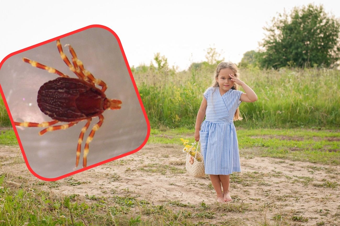 Dziewczynka na łące, na której mogą być kleszcze.