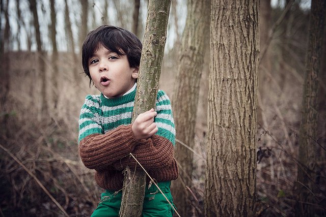 Fot. Flickr / [url=https://www.flickr.com/photos/34547181@N00/12034668704/in/album-72157623607597268/]Philippe Put[/url] / [url=https://creativecommons.org/licenses/by/2.0/]CC BY[/url]