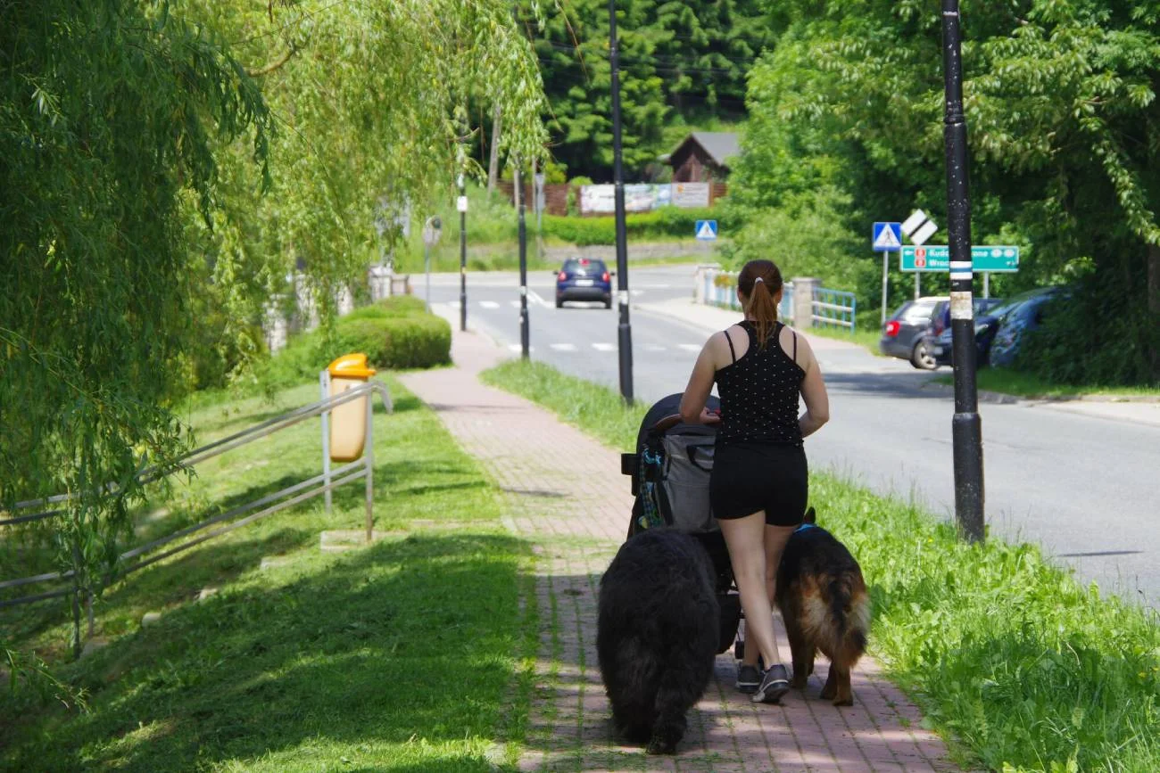 świadczenie 500+, 500+, 500 plus, wypłaty 500+ ZUS wypłaca 500+, kiedy wypłata 500 plus, pieniądze z 500+