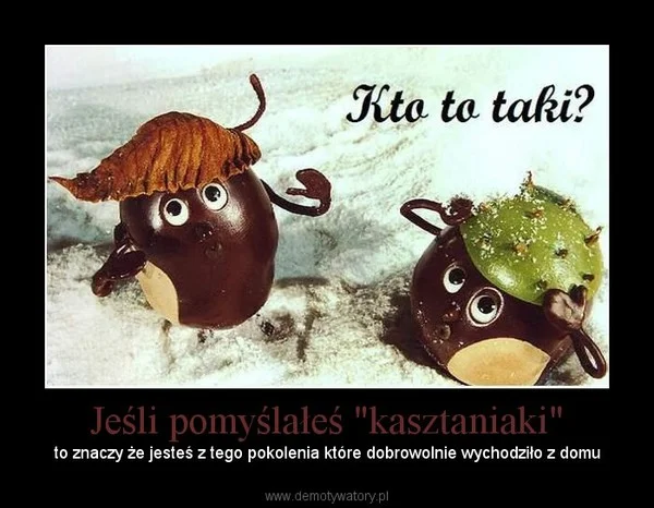 Zabawki z kasztanów i żołędzi mocno kojarzą się z jesienią. I to nie tylko dzieciom!