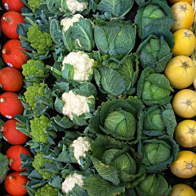 Naturalne probiotyki. Gdzie je znajdziemy?