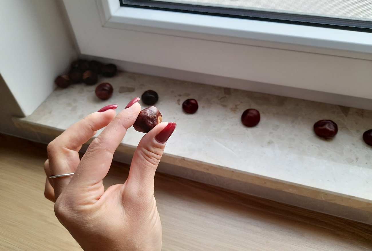 jak pozbyć się pająków