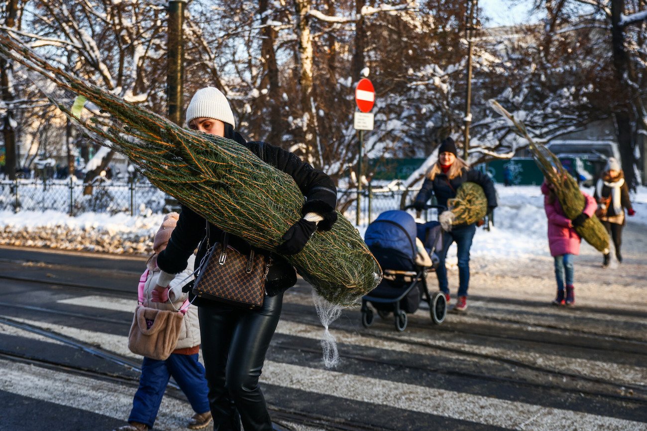 Boże narodzenie: choinka, pająki Boże narodzenie: choinka, pająki