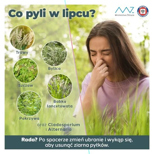 co pyli w lipcu infografika