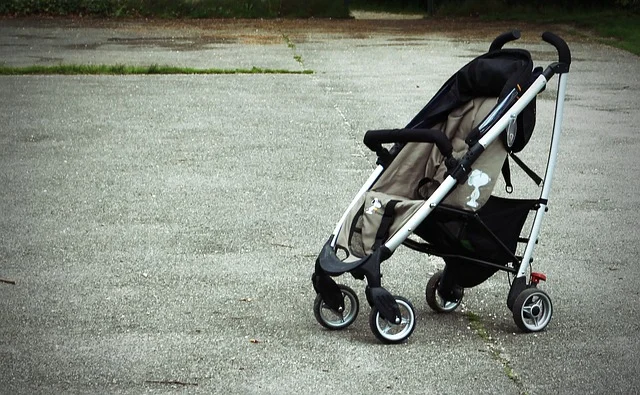 Fot. Pixabay/[url=http://pixabay.com/pl/baby-przewozu-buggy-s%C5%82o%C5%84ce-buggy-337698/]Antranias[/url] / [url=http://bit.ly/CC0-PD]CC0 Public Domain[/url]