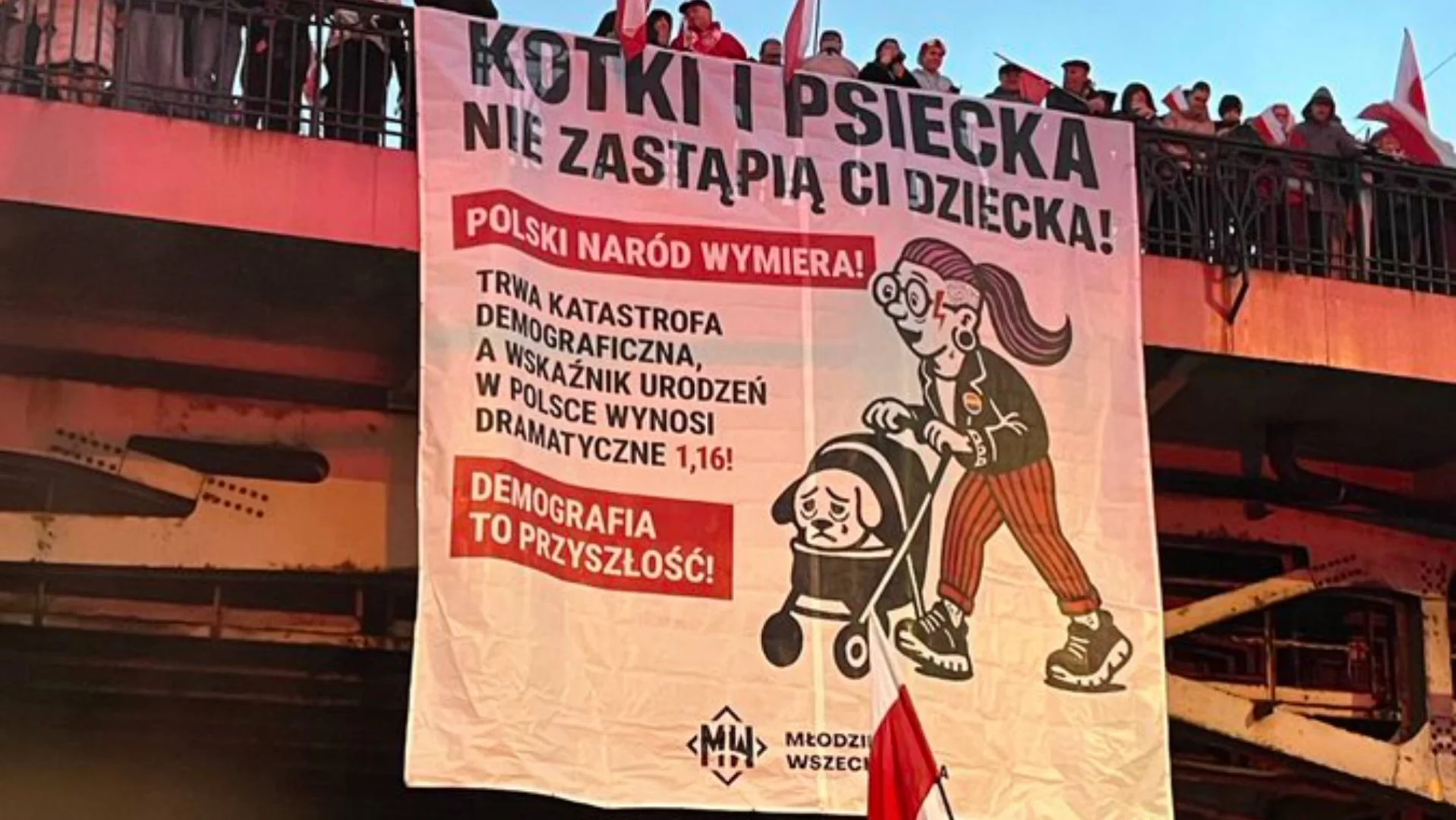 "Kotki i psiecka nie zastąpią dziecka". Ten baner na marszu rozwścieczył rodziców
