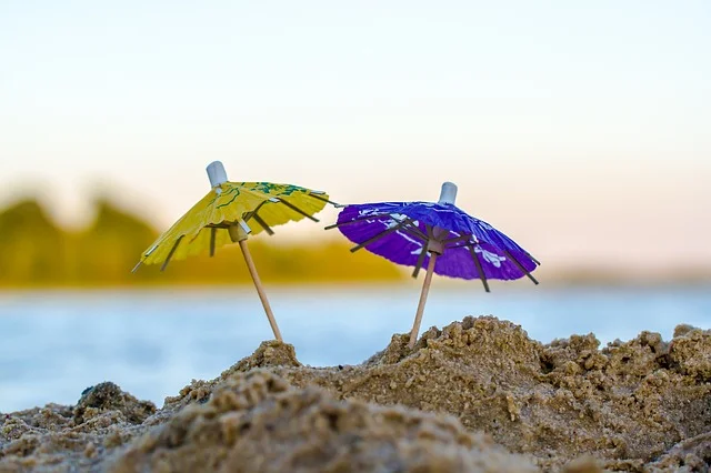 Fot. Pixabay/[url=https://pixabay.com/pl/lato-sun-stojak-charakter-pla%C5%BCy-830380/]jundpicture[/url] / [url=  http://pixabay.com/pl/service/terms/#download_terms]CC O[/url]