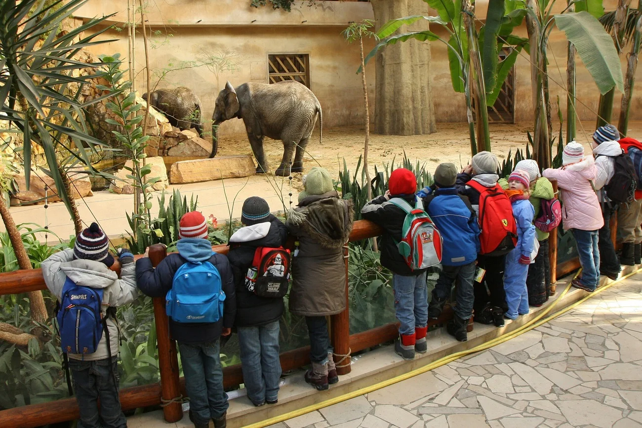 Dzieci na zimowisku odwiedziły ZOO. Dzieci na zimowisku odwiedziły ZOO.