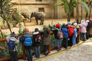 Dzieci na zimowisku odwiedziły ZOO. Dzieci na zimowisku odwiedziły ZOO.