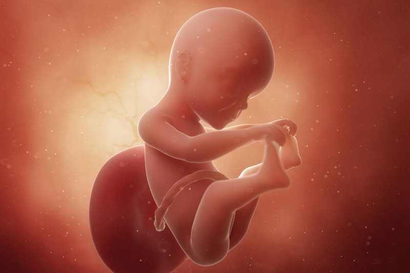 Jak wygląda dziecko w 25 tygodniu ciąży?