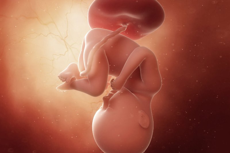 płód w 35 tygodniu ciąży