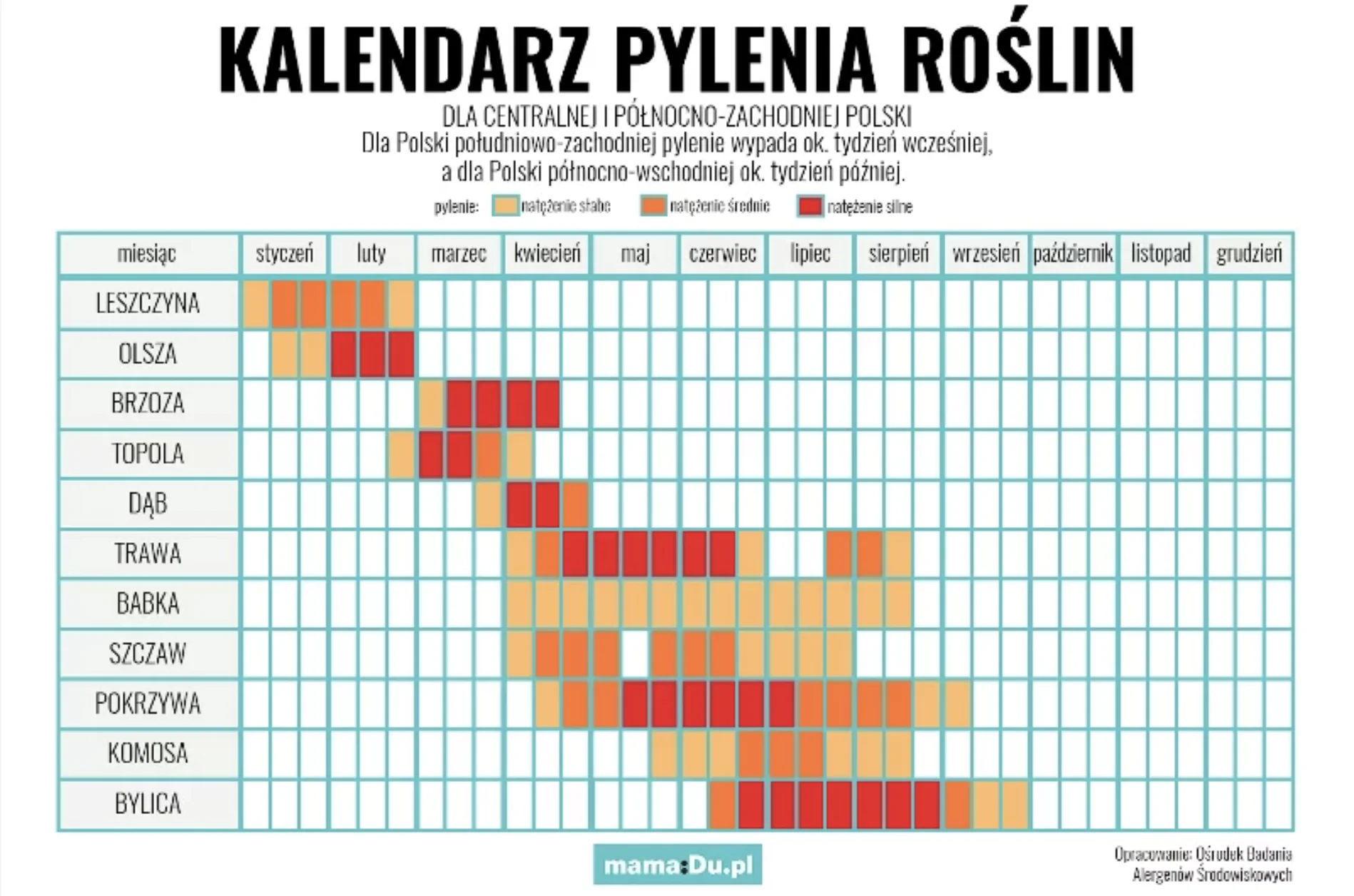 Kalendarz pylenia 2024
