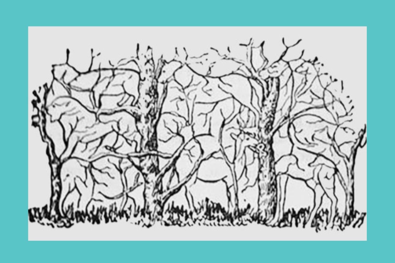 zagadka na spostrzegawczość