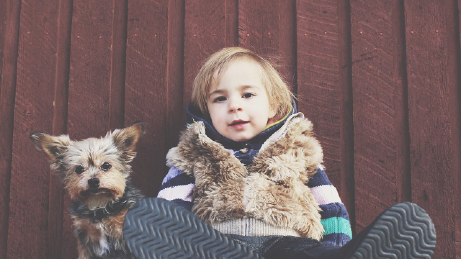 Fot. Pixabay / [url=https://pixabay.com/pl/dziecko-pies-pet-szczeniak-1031047/] Unsplash [/url] / [url=https://pixabay.com/pl/service/terms/#usage] CC0 Public Domain [/url]