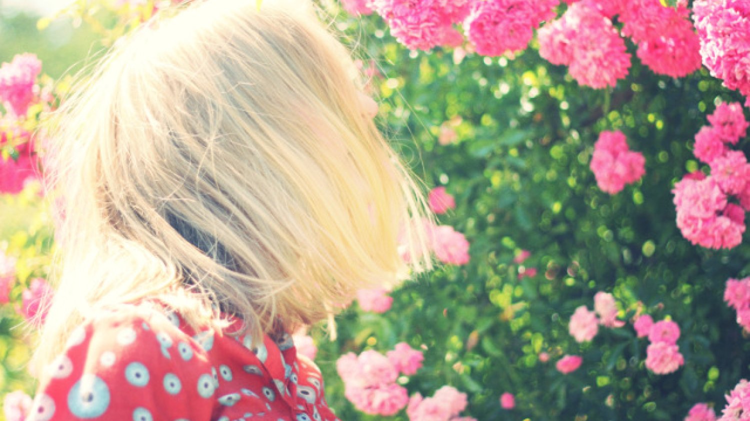 Fot. Pexels / [url=https://www.pexels.com/photo/girl-woman-flowers-garden-7649/]www.lifeofpix.com[/url] / [url=https://www.pexels.com/photo-license/]CC0 License[/url]