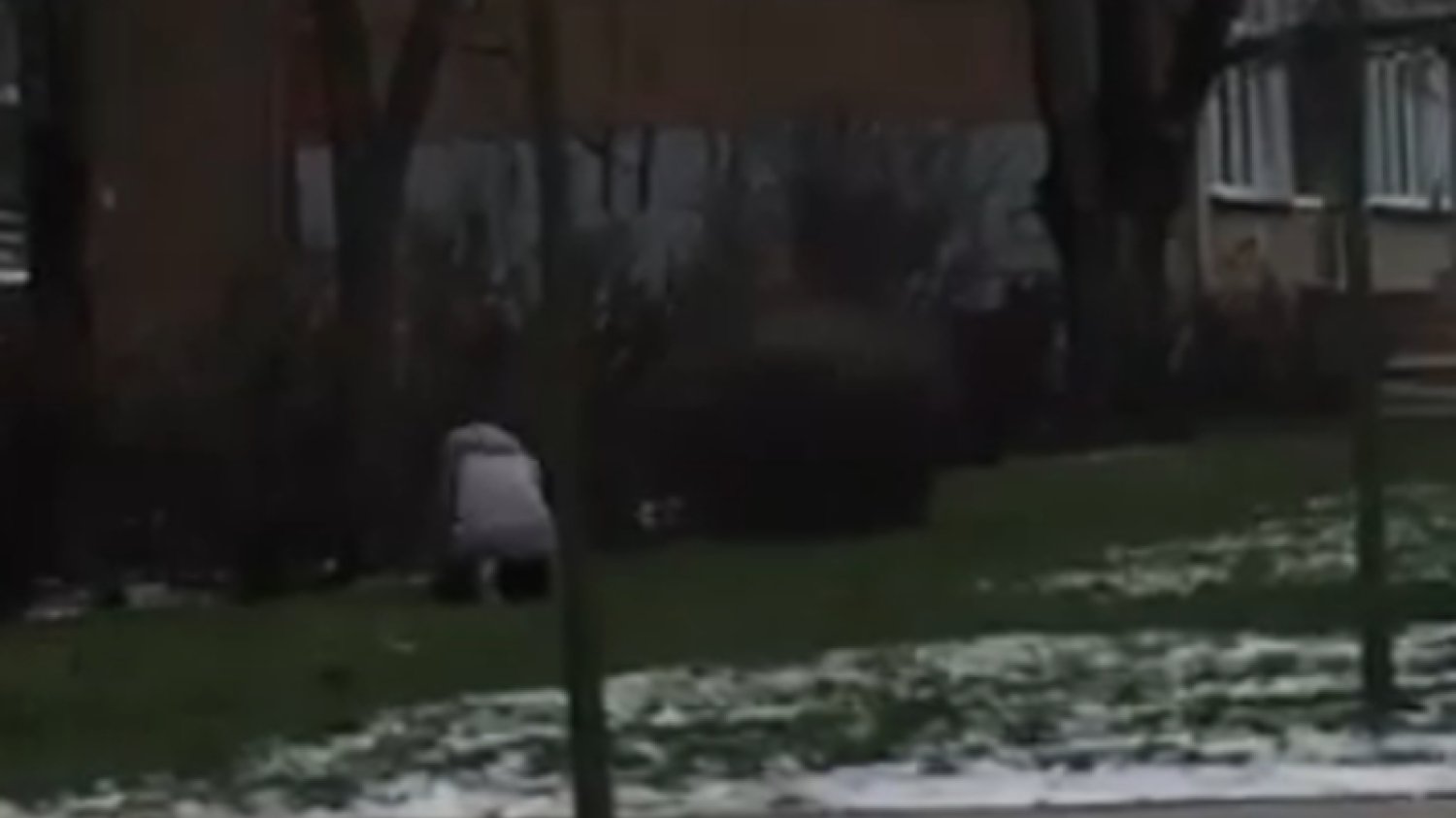 Nazwisko kobiety znęcającej się nad psem nie jest jeszcze znane
