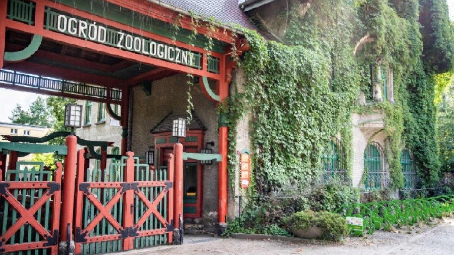 Tajemniczy stworek z zoo rozczula internet. "Wygląda jak Zgredek" Na zdjęciu widać Bramę Japońską w zoo we Wrocławiu