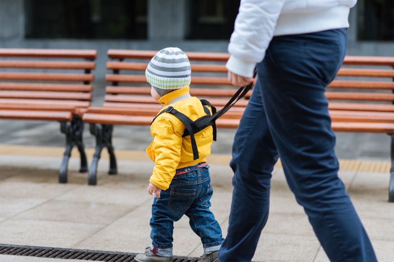 Rodzic prowadzi dziecko na szelkach.