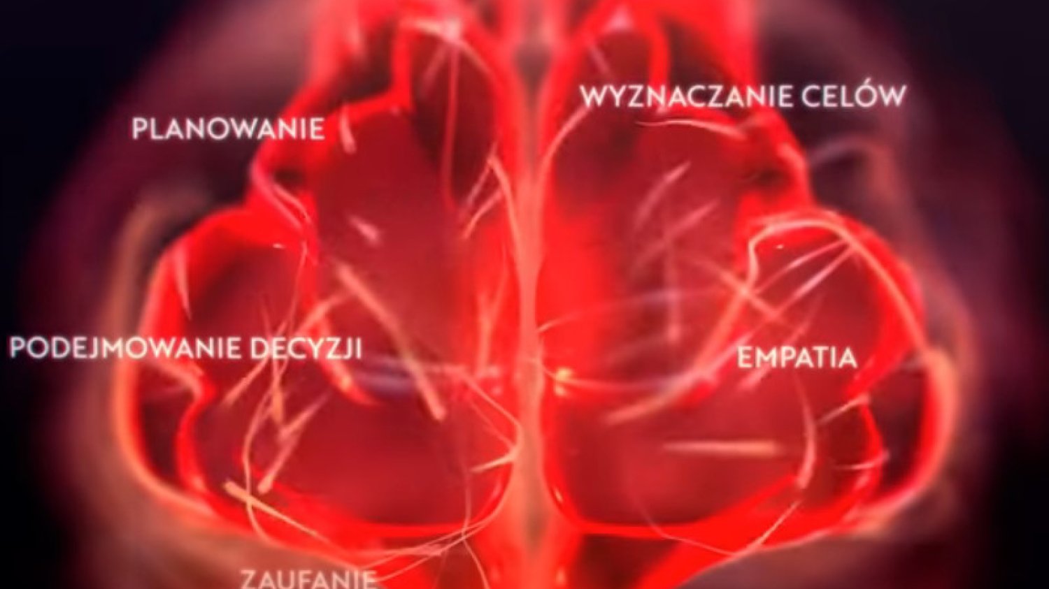 Oglądanie pornografii wpływa na mózg dziecka
